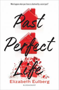 {Review} Past Perfect Life by Elizabeth Eulberg