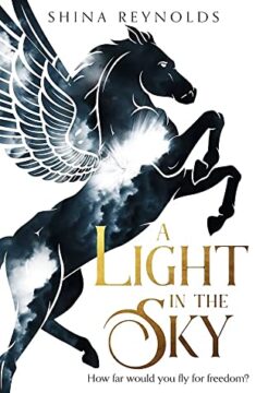 {Review} A Light in the Sky by Shina Reynolds